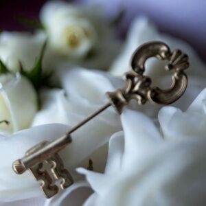 2 for $30 💎Vintage Avon Stylish Stick Pin